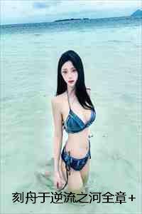 凤仪机场到洱海有多远