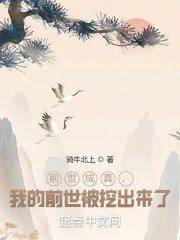 铁雪云烟全本